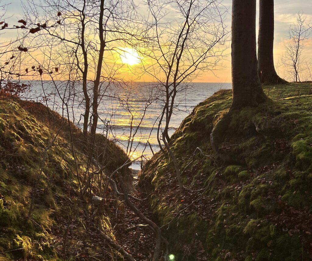 Hesnaes Coast Ultra 2026